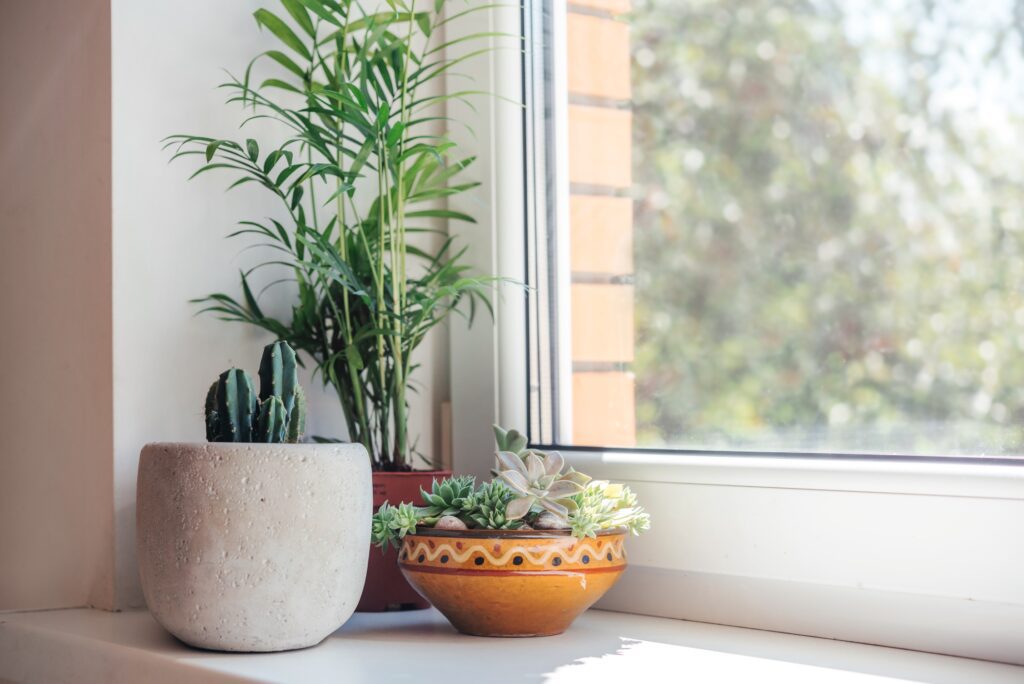 sun control window film San Diego